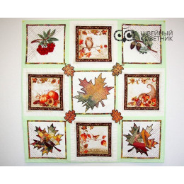 Швейная машина Elna eXcellence 720 Pro