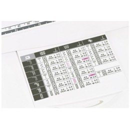 Швейная машина Husqvarna Eden Rose 250M