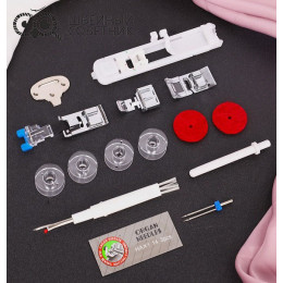 Швейная машина Leader Royal Stitch 310E